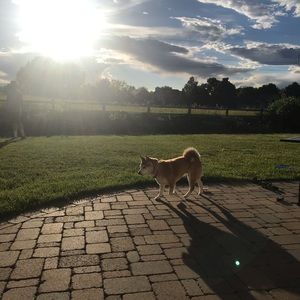 Meet your Posher, Kelsey